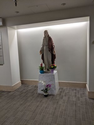 AHMC Seton Medical Center by null