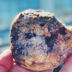 Dolce & Ciabatta Bakery Cafe - Blueberry scone