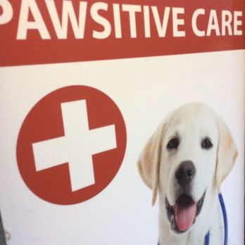West End Veterinary Clinic - Veterinarians Near Me - Vancouver, British Columbia West End Veterinary Clinic - Veterinarians Near Me - Vancouver, British Columbia