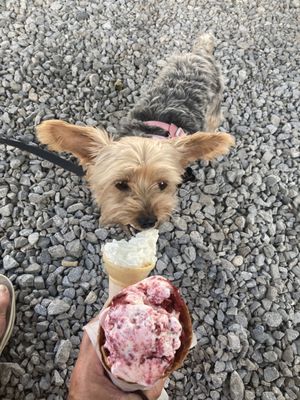 Creole Creamery by null