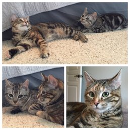 Luna and Leo Luna and Leo