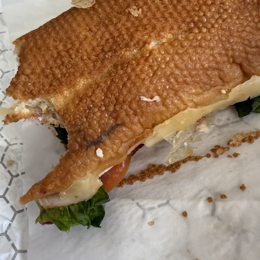 Moldy Bread Moldy Bread