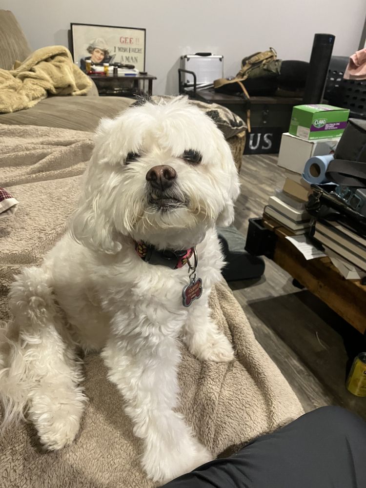 Slide of Hardcore Roofing & Construction