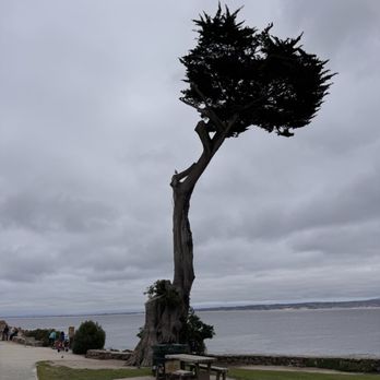 Lovers Point Park - Parks Near Me - Pacific Grove, California