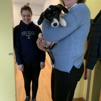 Mimi And The Mop - Mimi just finished cleaning and is giving our pup some pets. - Home Cleaning Near Me - worcester, Massachusetts Mimi And The Mop - Mimi just finished cleaning and is giving our pup some pets. - Home Cleaning Near Me - worcester, Massachusetts