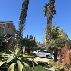 Lilys Mobile Notary - Beautiful encinitas neighborhood. This was our prior location.