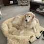 Photo of Tim & Lynn's Country Pet Care