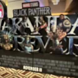 Marcus Orland Park Cinema - Veteran's Day movie
