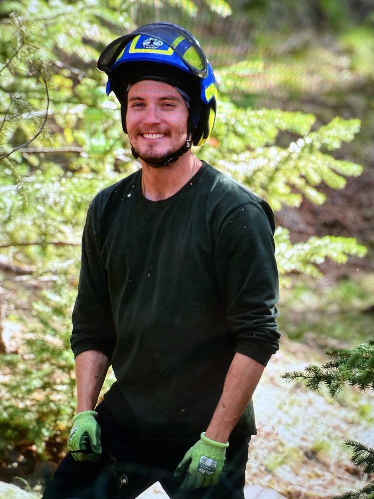 The Tree Trekker - tree service in Pueblo, CO