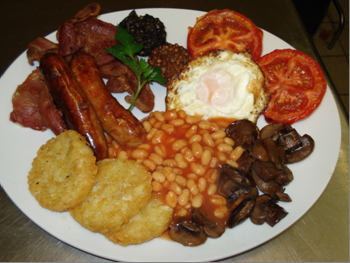 The Bombardier by null