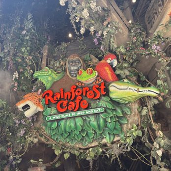 Rainforest Cafe - American Near Me - San Antonio, Texas Rainforest Cafe - American Near Me - San Antonio, Texas