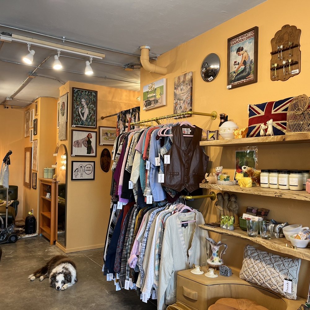 Trunk: A Curious Collection - Shop doggy! Dressing room available - Used, Vintage & Consignment Near Me - Iowa City, Iowa Trunk: A Curious Collection - Shop doggy! Dressing room available - Used, Vintage & Consignment Near Me - Iowa City, Iowa
