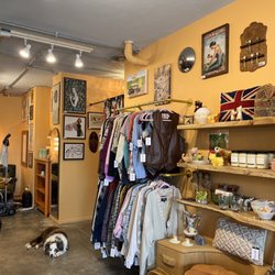 Trunk: A Curious Collection - Shop doggy! Dressing room available