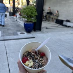 Revelations Yogurt