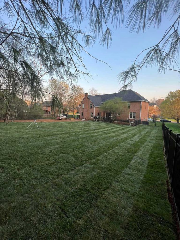 Gladiator SOD and Landscape - tree service in Knoxville, TN
