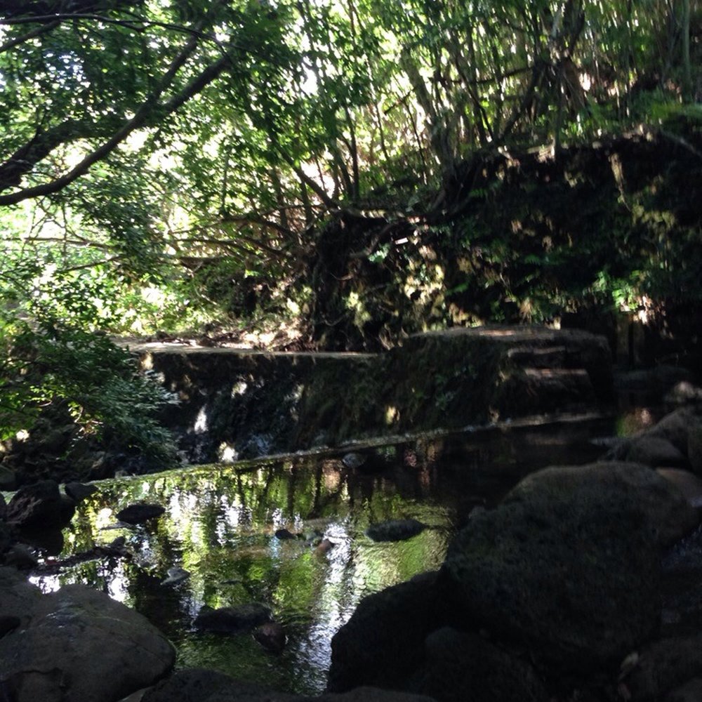 Lulumahu Falls - Hiking Near Me - Honolulu, Hawaii Lulumahu Falls - Hiking Near Me - Honolulu, Hawaii