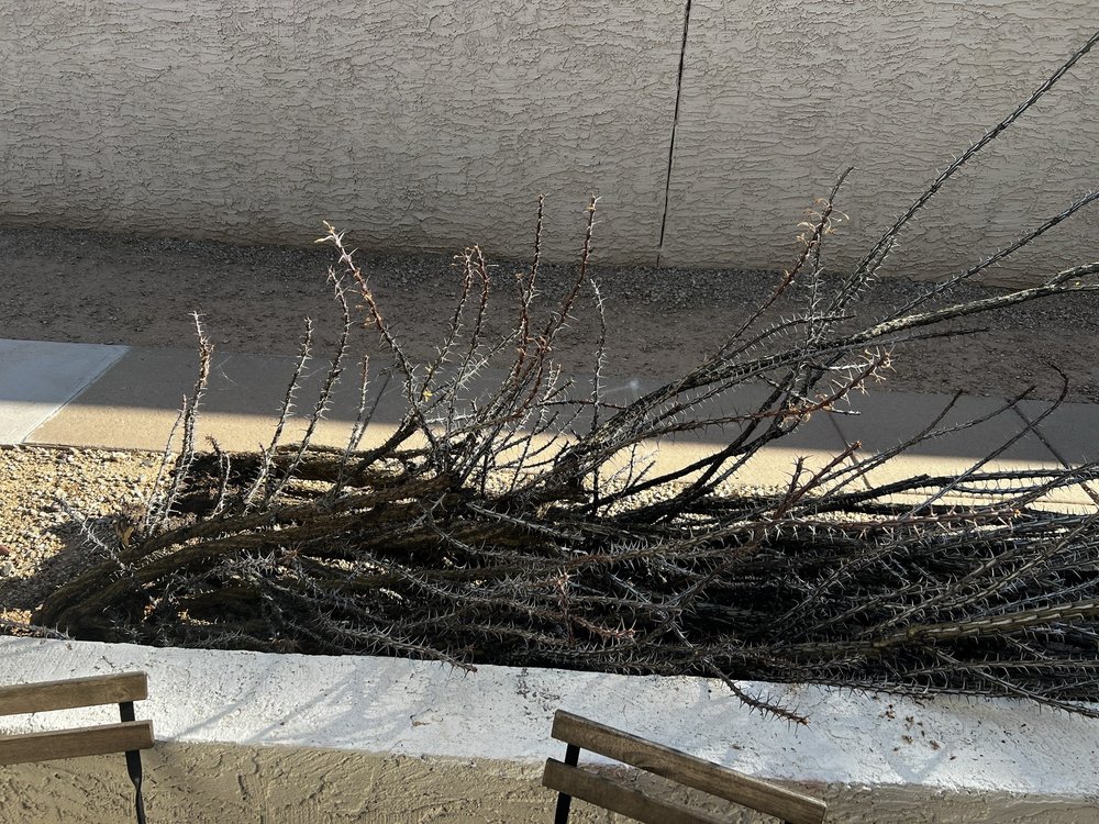 PMP Management - property management company in Phoenix, AZ