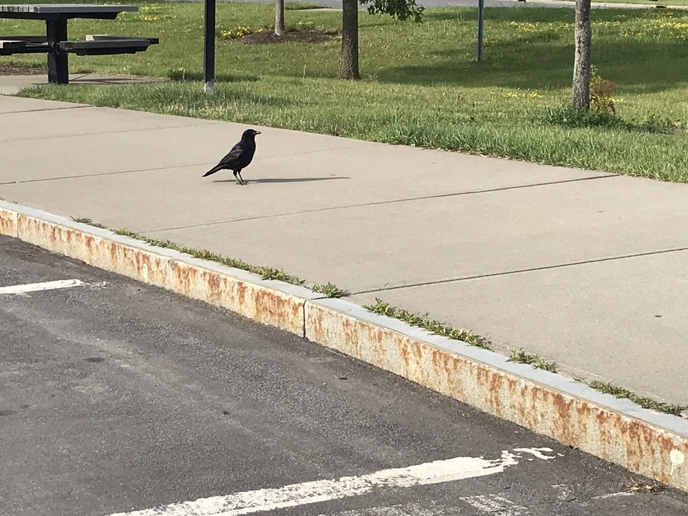 PREBLE REST AREA Updated September 2024 15 Photos Hwy 81, Preble