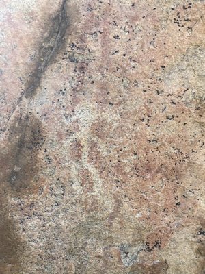 Honey Bee Canyon by null