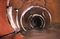 Slide of Timber Wolff's Plumbing