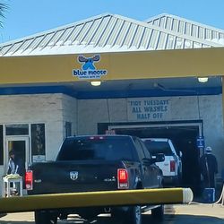 Blue Moose Auto Spa