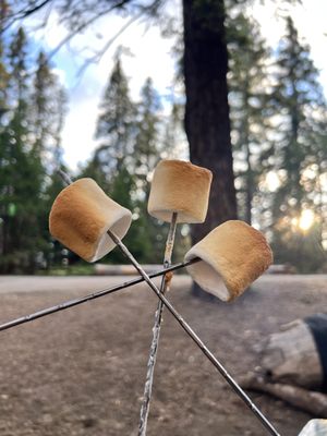 Kings Canyon National Park by null