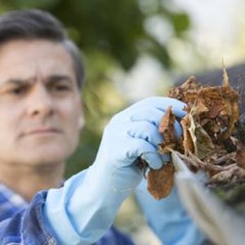 Taylor's Weed & Pest Control - 3 Tips to Prevent Spring Pests From Entering a Home - Pest Control Near Me - Hobbs, New Mexico Taylor's Weed & Pest Control - 3 Tips to Prevent Spring Pests From Entering a Home - Pest Control Near Me - Hobbs, New Mexico