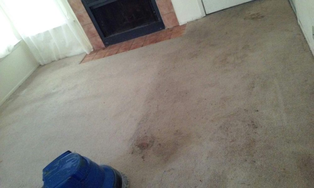 TRUEGREEN CARPET CARE Updated July 2024 48 Photos 4640 Orchard St