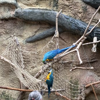 Henry Vilas Park Zoo - Aviary - Zoos Near Me - Madison, Wisconsin Henry Vilas Park Zoo - Aviary - Zoos Near Me - Madison, Wisconsin