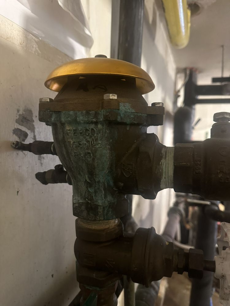 Slide of Forward Flow Backflow