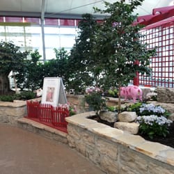 Pflanzen-Mauk Gartencenter - Eingangsbereich