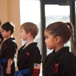 Dojo Karate - Buffalo - Dojo Karate training at our eight locations throughout Minnesota: Maple Grove, Elk River, Monticello, Buffalo, Waconia, Roger...