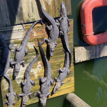 Gator Beach - Amusement Parks Near Me - Destin, Florida