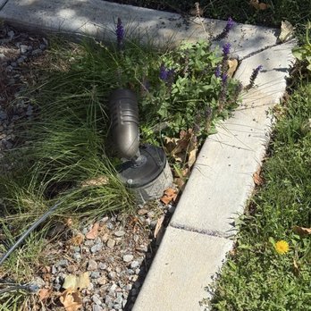 Red Shovel Landscape - Weeds in rock areas - Landscaping Near Me - Albuquerque, New Mexico