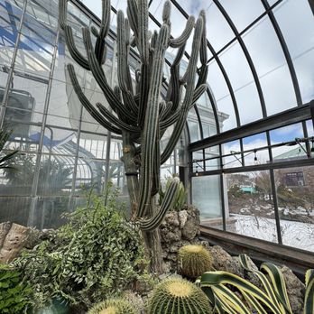 Anna Scripps Whitcomb Conservatory - Botanical Gardens Near Me - Detroit, Michigan Anna Scripps Whitcomb Conservatory - Botanical Gardens Near Me - Detroit, Michigan