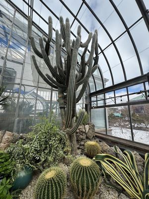 Anna Scripps Whitcomb Conservatory by null