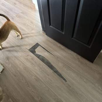 Floor Gurus - Flooring Near Me - Fountain Inn, South Carolina Floor Gurus - Flooring Near Me - Fountain Inn, South Carolina