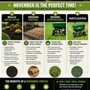 Benitez Landscaping Pro Services
