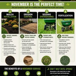 Benitez Landscaping Pro Services