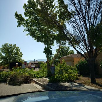 Monkey's Tree Services - Half the tree gone - Tree Services Near Me - Albuquerque, New Mexico