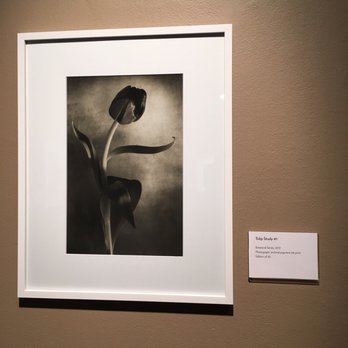 Museo ItaloAmericano - Museums Near Me - San Francisco, California