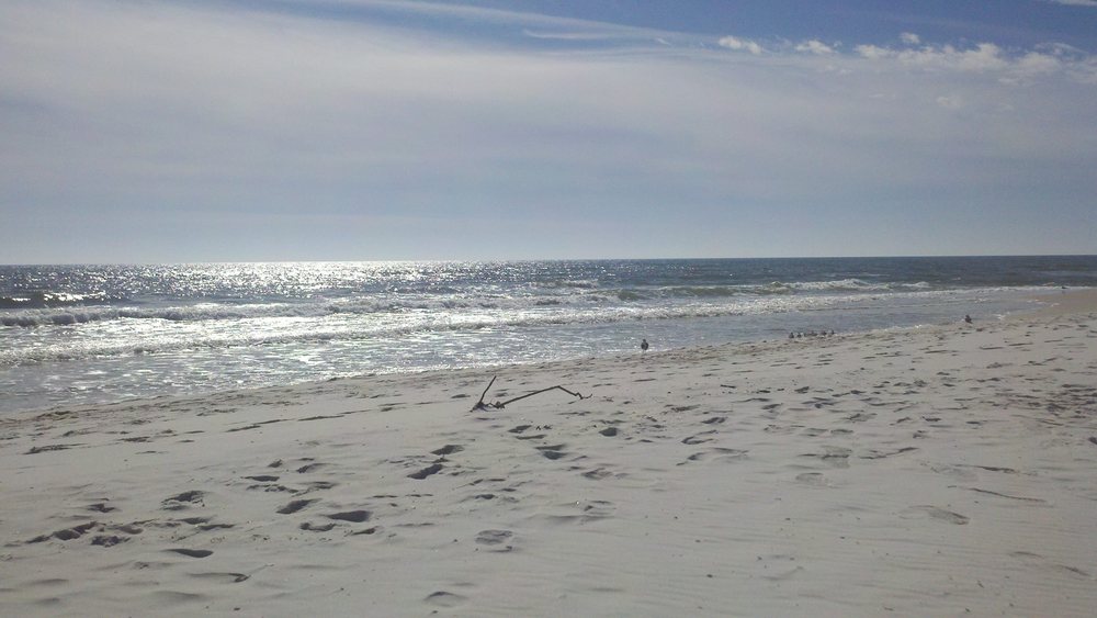 Emerald Shores Counseling - grief counselor in Pensacola, FL