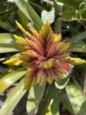 St George Village Botanical Gardens by null