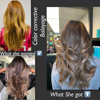 Mariposa Salon by null