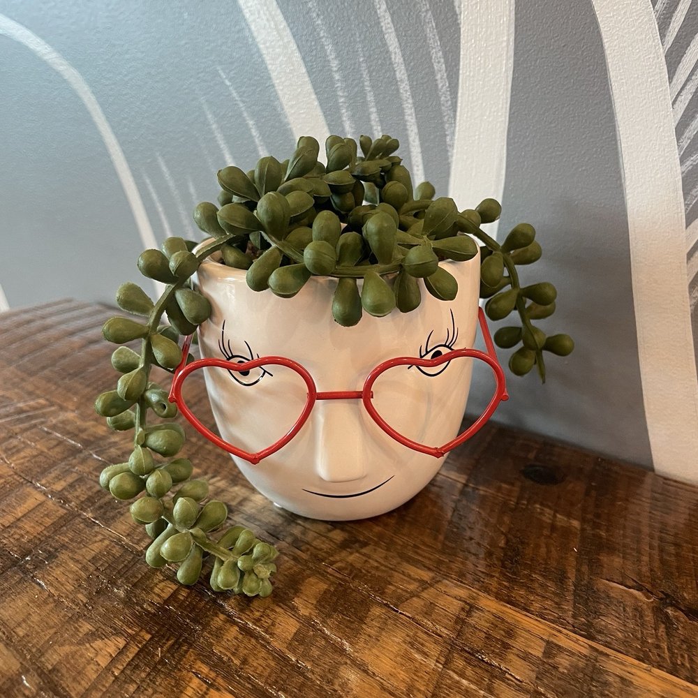 Foxtail Coffee - Cute little plants - Coffee & Tea Near Me - Kissimmee, Florida
