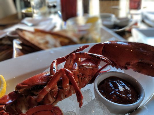 Modern Ocean by null