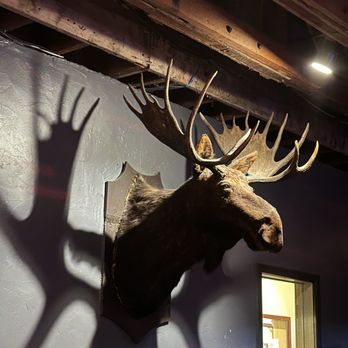 Oceanside Moose Lodge - Venues & Event Spaces Near Me - Oceanside, California Oceanside Moose Lodge - Venues & Event Spaces Near Me - Oceanside, California