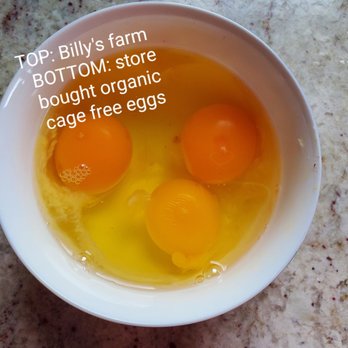 BILLY’S EGG FARM - Updated February 2025 - 570 Photos & 747 Reviews - 13094 E End Ave, Chino