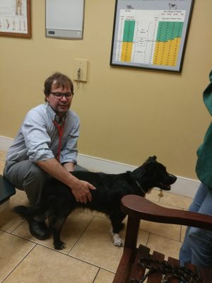 Burnt Hills Veterinary Hospital by null