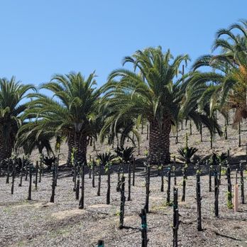 Peltzer Winery - Wineries Near Me - Temecula, California